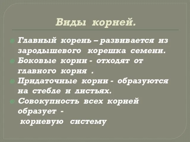 Виды корней. Главный корень – развивается из зародышевого корешка семени. Боковые корни