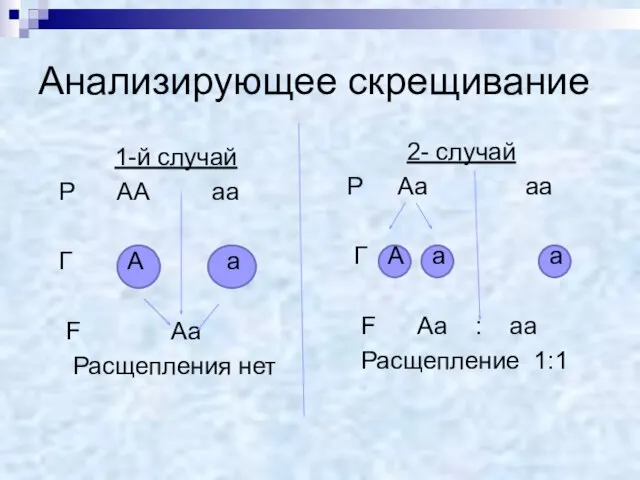 Анализирующее скрещивание 1-й случай Р АА аа Г А а F Аа