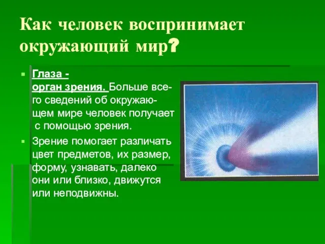 Как человек воспринимает окружающий мир? Глаза -орган зрения. Больше все-го сведений об