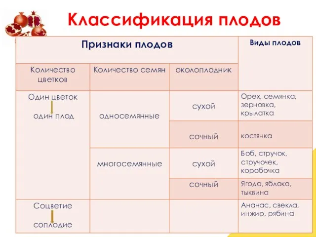 Классификация плодов