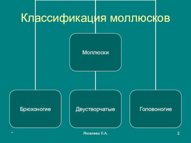 * Яковлева Л.А. Классификация моллюсков