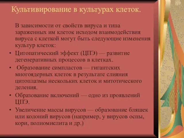 Культивирование в культурах клеток. В зависимости от свойств вируса и типа зараженных