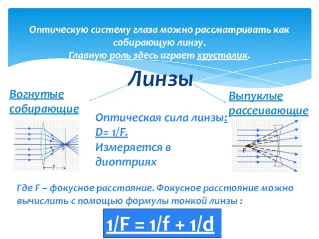 Линзы Оптическую систему глаза можно рассматривать как собирающую линзу. Главную роль здесь