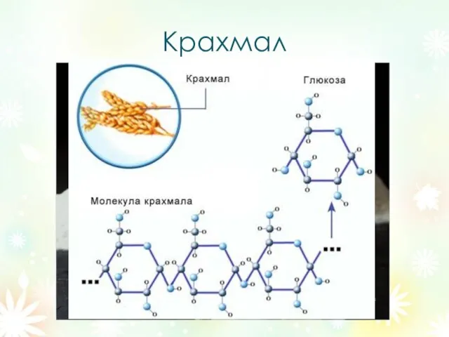 Крахмал