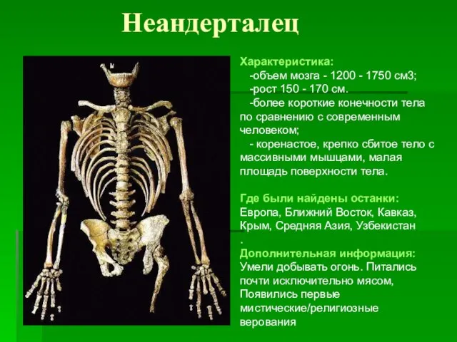 Неандерталец Характеристика: -объем мозга - 1200 - 1750 см3; -рост 150 -