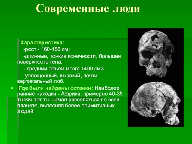 Современные люди Характеристика: -рост - 160-185 см; -длинные, тонкие конечности, большая поверхность