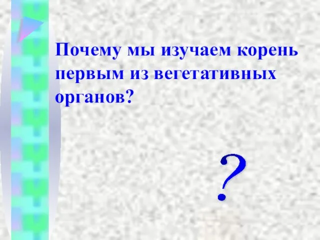 Почему мы изучаем корень первым из вегетативных органов? ?