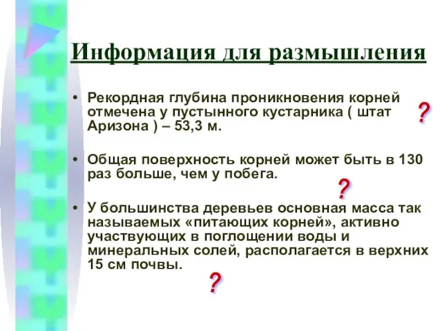 Информация для размышления Рекордная глубина проникновения корней отмечена у пустынного кустарника (