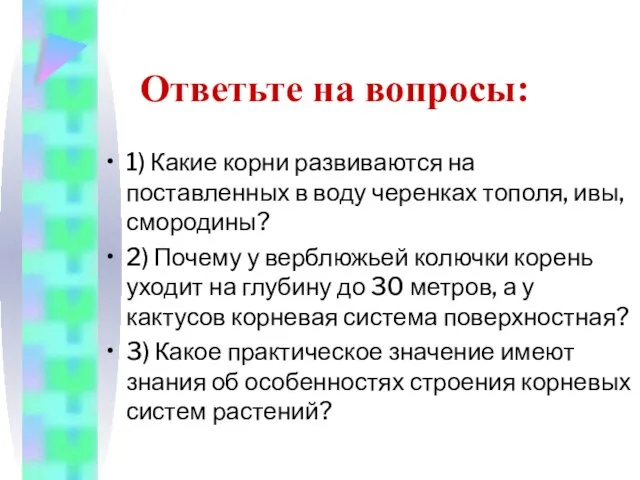 Ответьте на вопросы: 1) Какие корни развиваются на поставленных в воду черенках