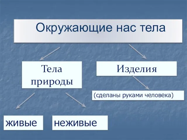 Тела природы Изделия живые неживые (сделаны руками человека) Окружающие нас тела