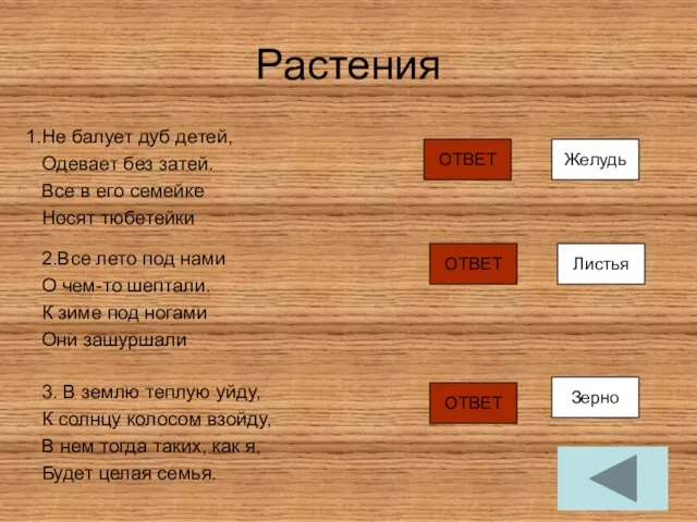 Растения Не балует дуб детей, Одевает без затей. Все в его семейке