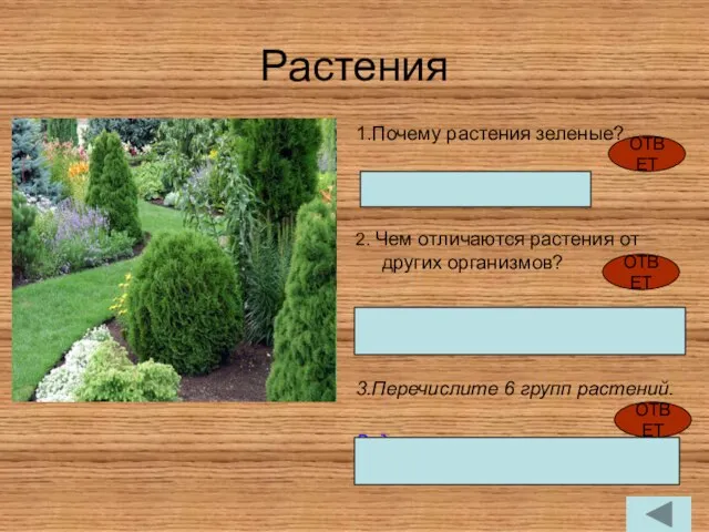 Растения 1.Почему растения зеленые? Содержат хлоропласты 2. Чем отличаются растения от других