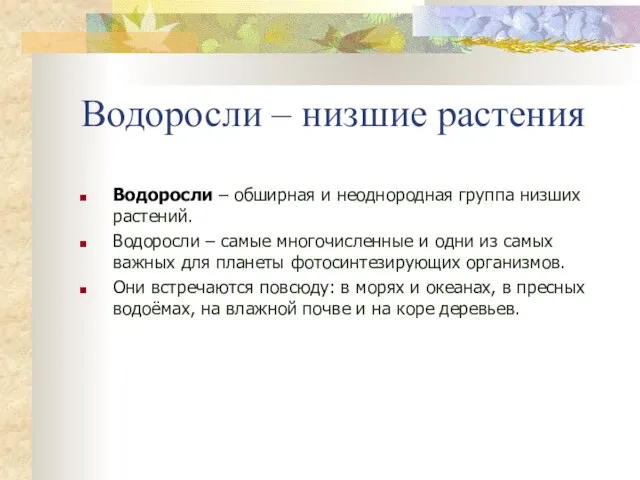 Водоросли – низшие растения Водоросли – обширная и неоднородная группа низших растений.