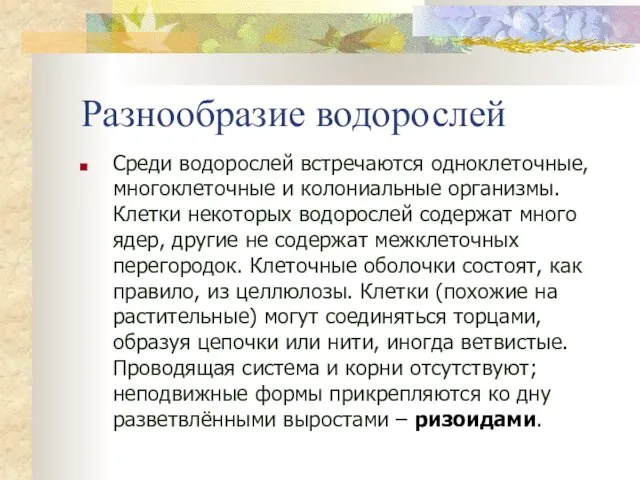 Разнообразие водорослей Среди водорослей встречаются одноклеточные, многоклеточные и колониальные организмы. Клетки некоторых