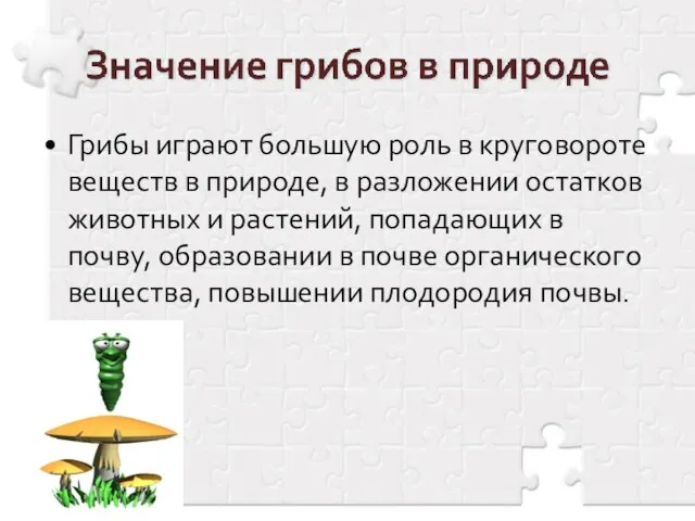 Грибы играют большую роль в круговороте веществ в природе, в разложении остатков