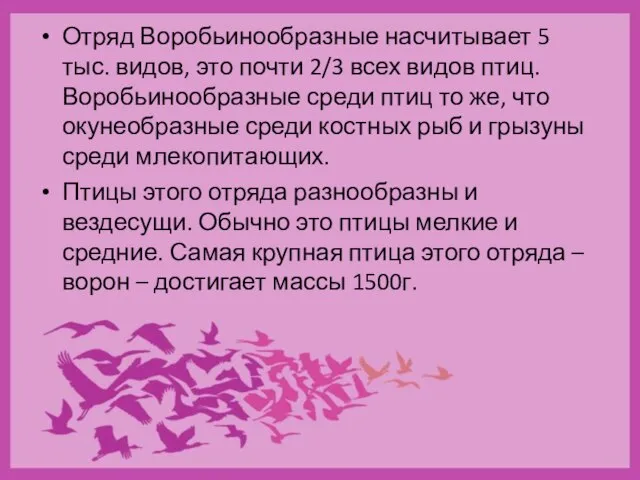 Отряд Воробьинообразные насчитывает 5 тыс. видов, это почти 2/3 всех видов птиц.