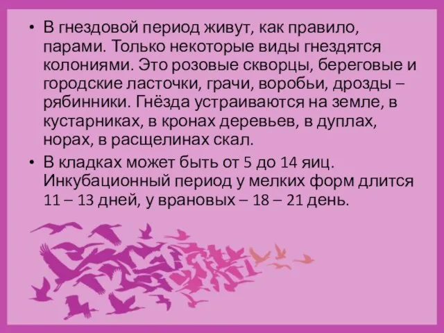 В гнездовой период живут, как правило, парами. Только некоторые виды гнездятся колониями.