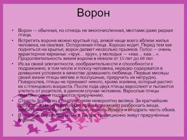 Ворон Ворон — обычная, но отнюдь не многочисленная, местами даже редкая птица.