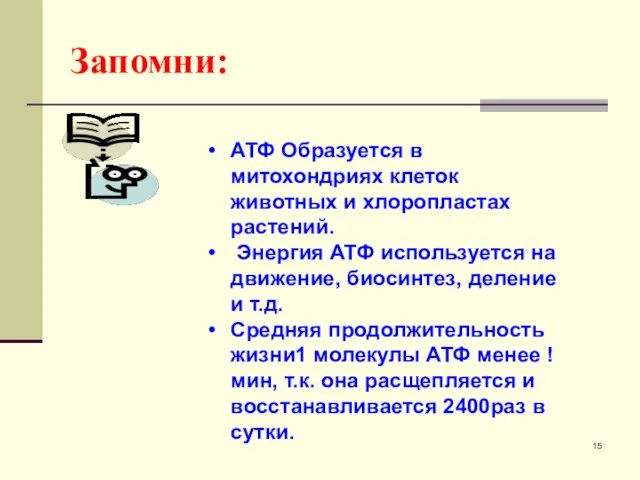 Запомни: АТФ Образуется в митохондриях клеток животных и хлоропластах растений. Энергия АТФ