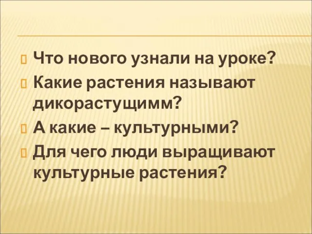 Что нового узнали на уроке? Какие растения называют дикорастущимм? А какие –