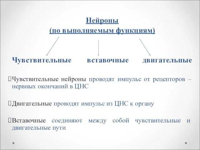 Нейроны (по выполняемым функциям) Чувствительные вставочные двигательные Чувствительные нейроны проводят импульс от