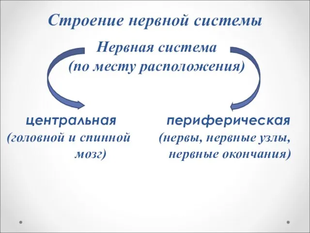 Строение нервной системы Нервная система (по месту расположения) центральная периферическая (головной и