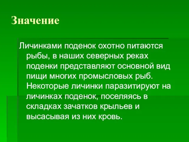 Значение Личинками поденок охотно питаются рыбы, в наших северных реках поденки представляют