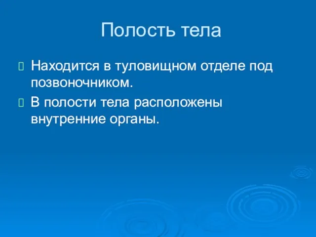 Полость тела Находится в туловищном отделе под позвоночником. В полости тела расположены внутренние органы.