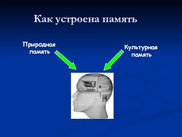 Как устроена память Природная память Культурная память