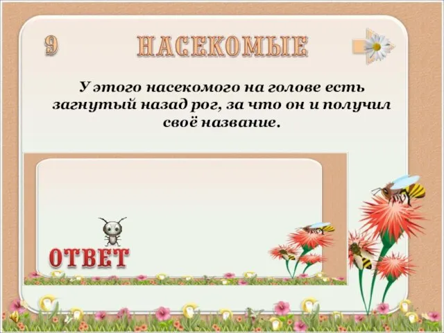 У этого насекомого на голове есть загнутый назад рог, за что он и получил своё название.