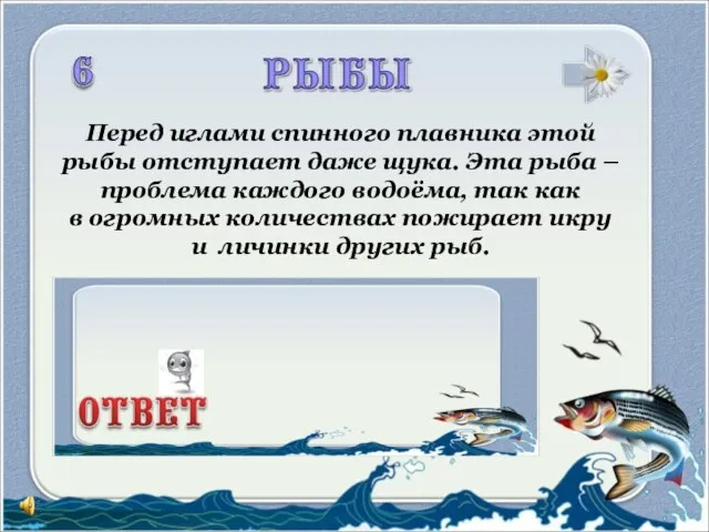 Перед иглами спинного плавника этой рыбы отступает даже щука. Эта рыба –