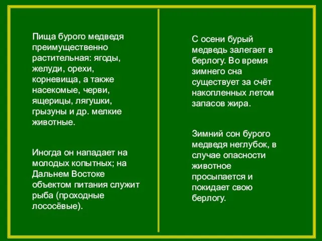 Пища бурого медведя преимущественно растительная: ягоды, желуди, орехи, корневища, а также насекомые,