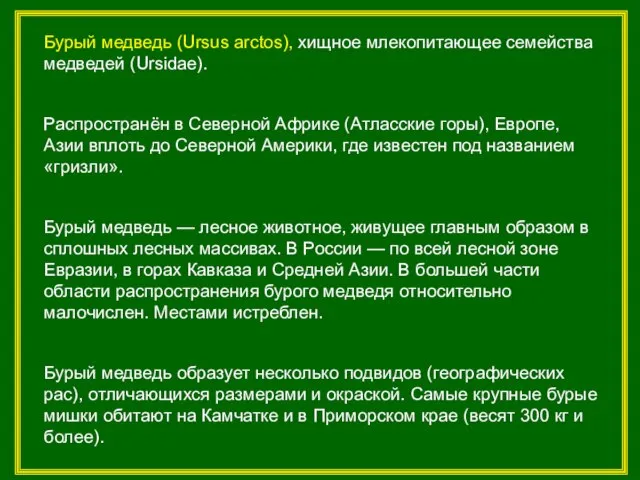 Бурый медведь (Ursus arctos), хищное млекопитающее семейства медведей (Ursidae). Распространён в Северной