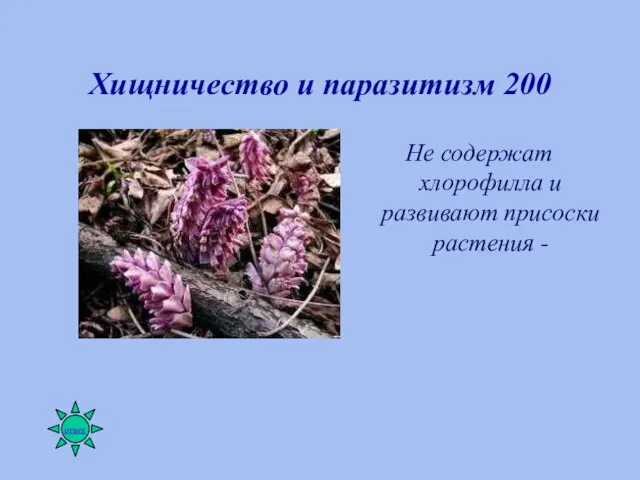 Хищничество и паразитизм 200 Не содержат хлорофилла и развивают присоски растения -