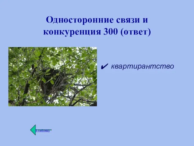 Односторонние связи и конкуренция 300 (ответ) квартирантство