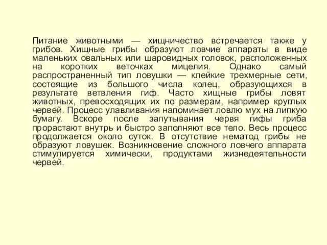 Питание животными — хищничество встречается также у грибов. Хищные грибы образуют ловчие