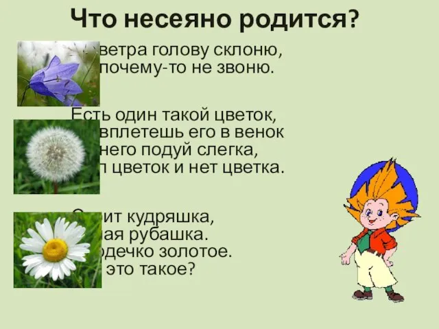 Что несеяно родится? От ветра голову склоню, Но почему-то не звоню. Есть