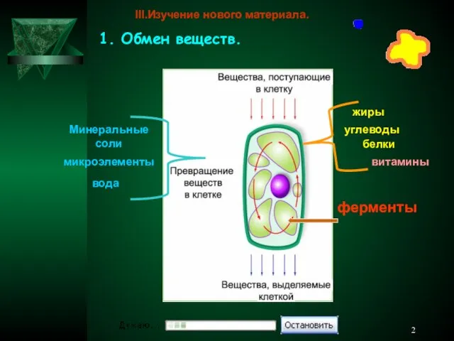 белки жиры углеводы микроэлементы вода Минеральные соли витамины ферменты III.Изучение нового материала. 1. Обмен веществ.