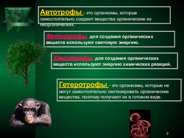 Автотрофы - это организмы, которые самостоятельно создают вещества органические из неорганических. Фототрофы