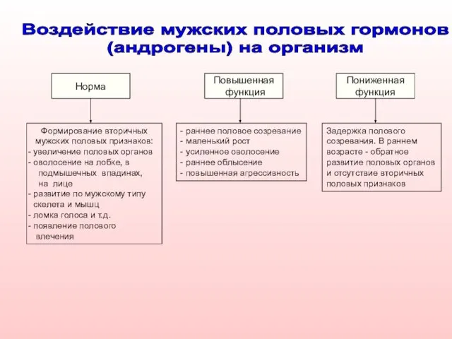 Норма Повышенная функция Пониженная функция Формирование вторичных мужских половых признаков: увеличение половых