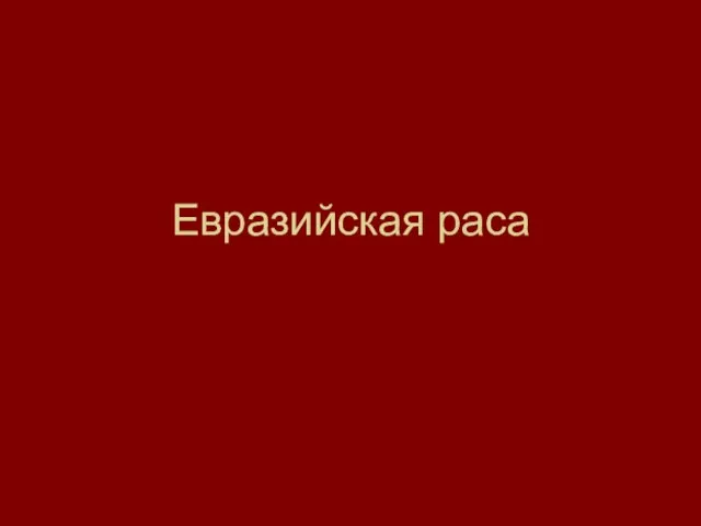 Евразийская раса