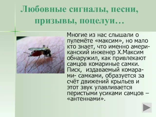 Любовные сигналы, песни, призывы, поцелуи… Многие из нас слышали о пулемёте «максим»,