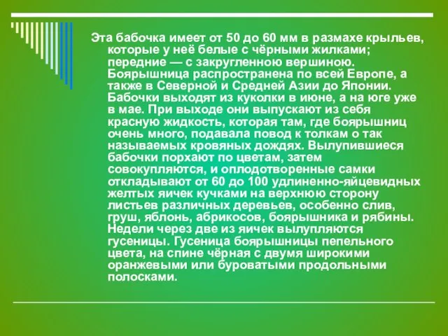 Эта бабочка имеет от 50 до 60 мм в размахе крыльев, которые