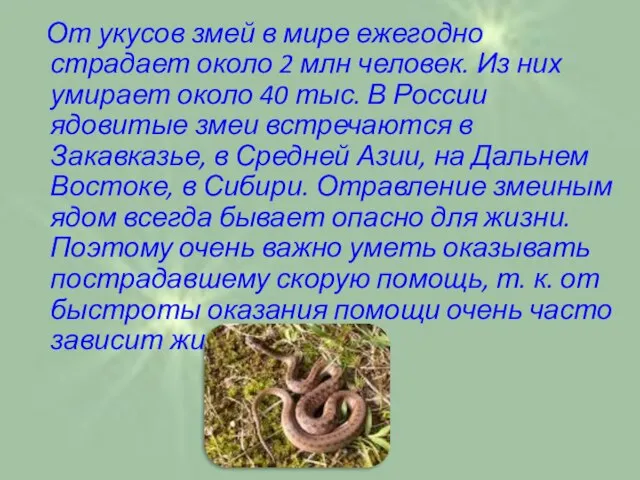 От укусов змей в мире ежегодно страдает около 2 млн человек. Из