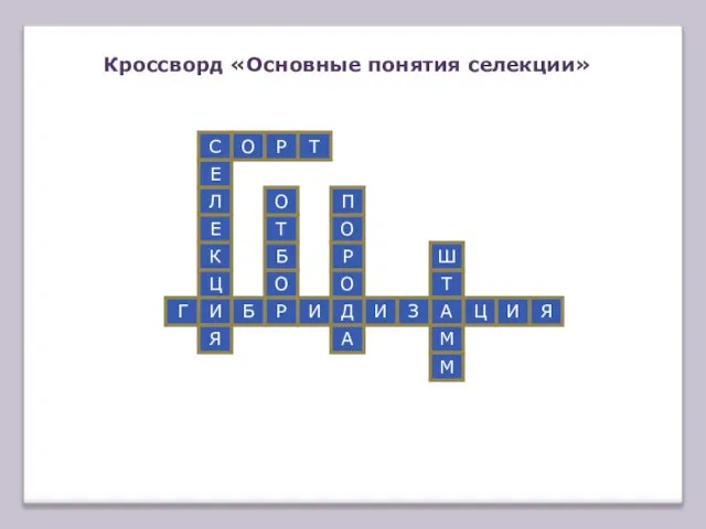 Кроссворд «Основные понятия селекции» С Е Л Е К Ц И Я