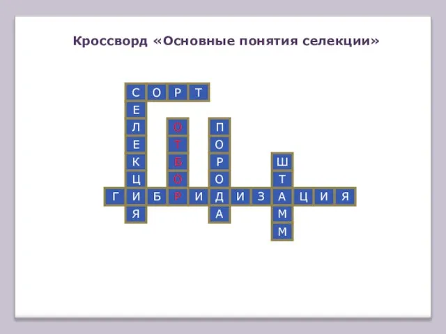 Кроссворд «Основные понятия селекции» С Е Л Е К Ц И Я