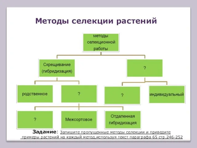 Методы селекции растений Задание: Запишите пропущенные методы селекции и приведите примеры растений