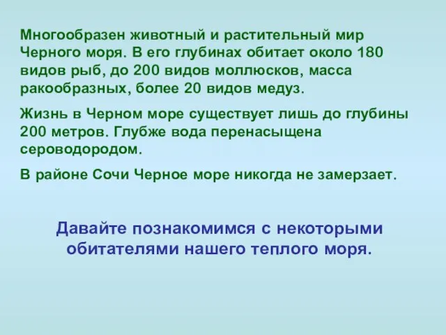 Многообразен животный и растительный мир Черного моря. В его глубинах обитает около