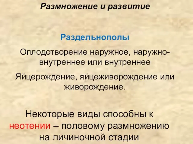 Размножение и развитие Раздельнополы Оплодотворение наружное, наружно-внутреннее или внутреннее Яйцерождение, яйцеживорождение или