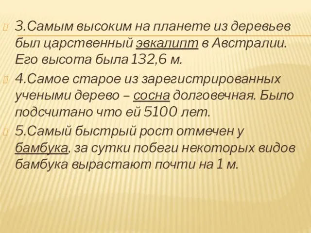 3.Самым высоким на планете из деревьев был царственный эвкалипт в Австралии. Его